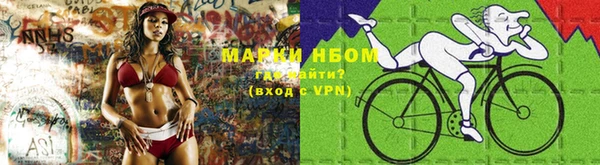 шишки Алексин